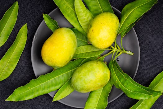 Top view of ripe mangoes on a black plate surrounded by vibrant green leaves.